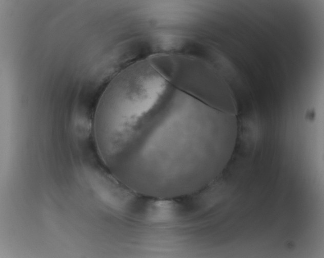 X0000114660324200910201536