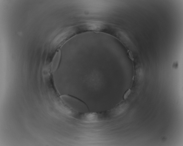 X0000114660325200910201536