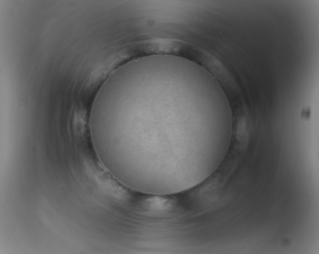 X0000114660326200910201536