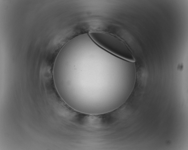 X0000114660327200910201536