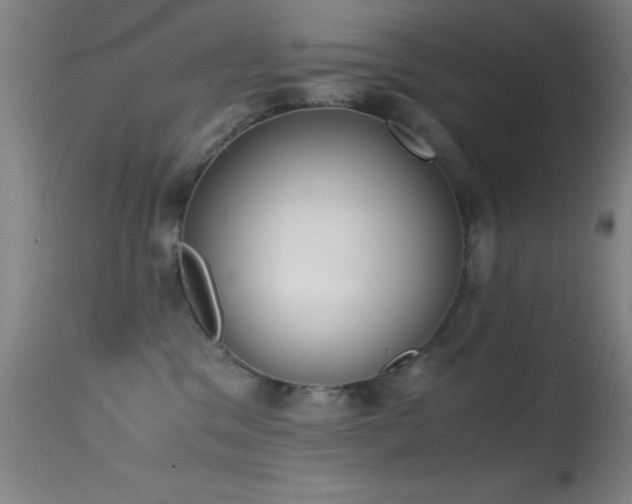 X0000114660329200910201536