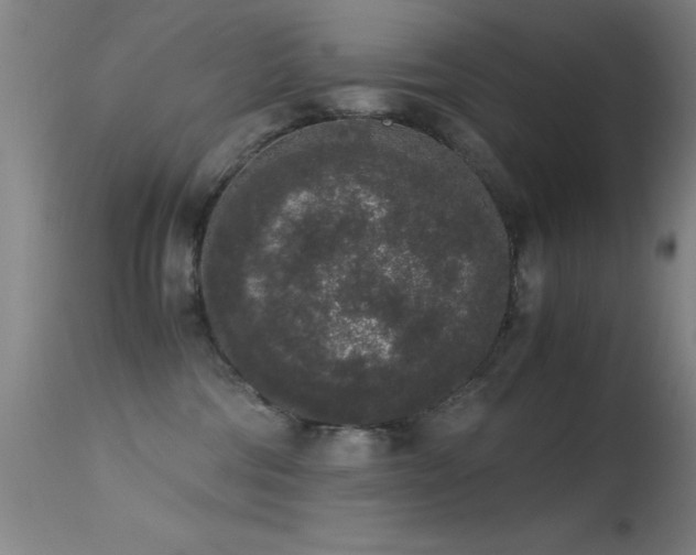 X0000114660330200910201536