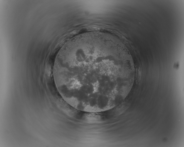 X0000114660331200910201536