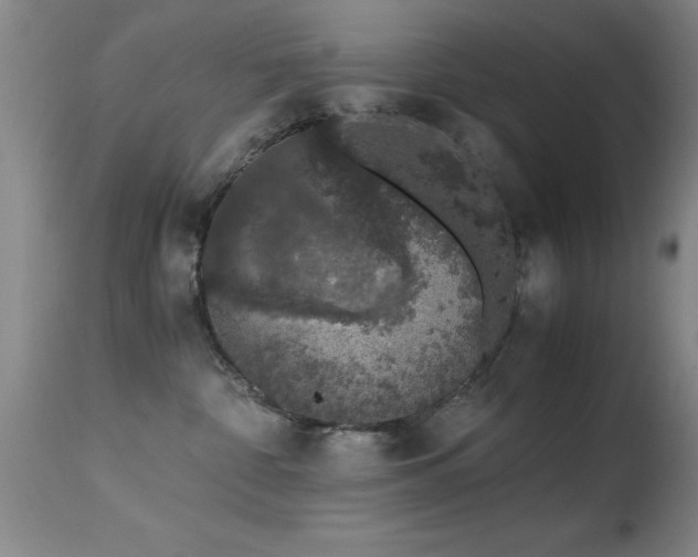 X0000114660332200910201536