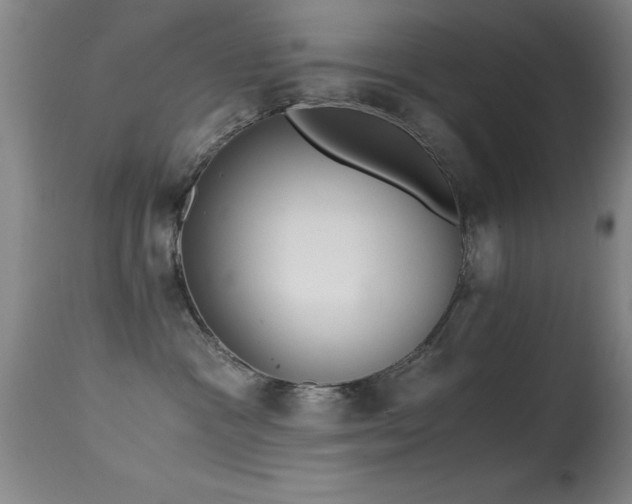 X0000114660333200910201536