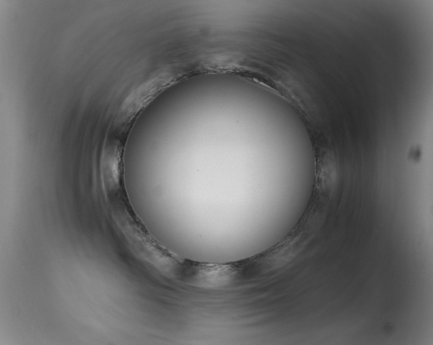 X0000114660334200910201536