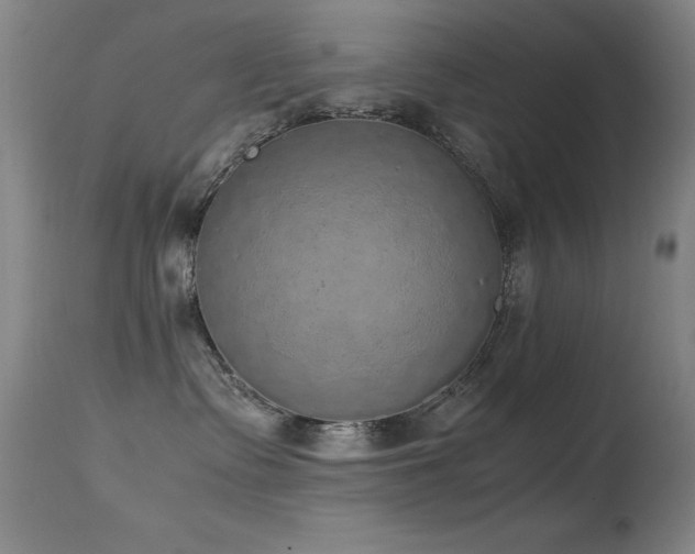 X0000114660335200910201536