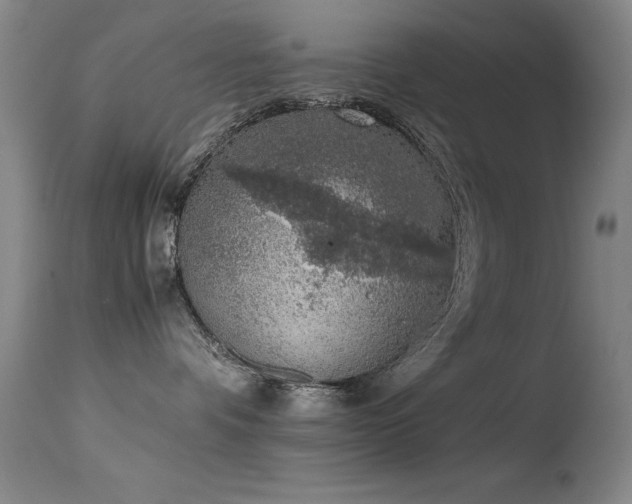 X0000114660336200910201536