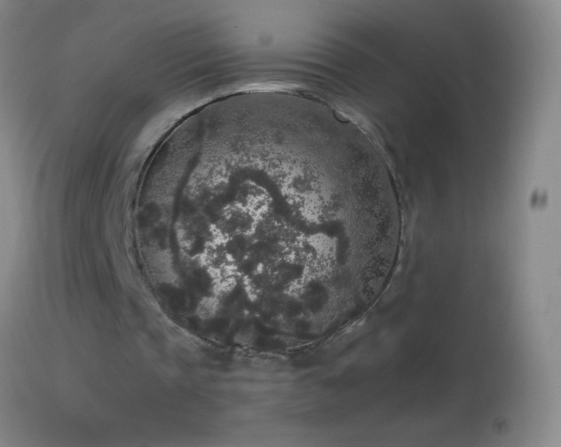 X0000114660337200910201535