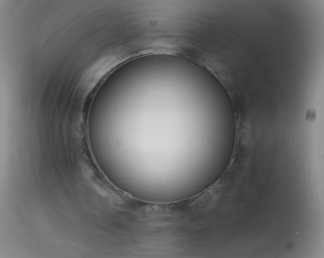 X0000114660338200910201535