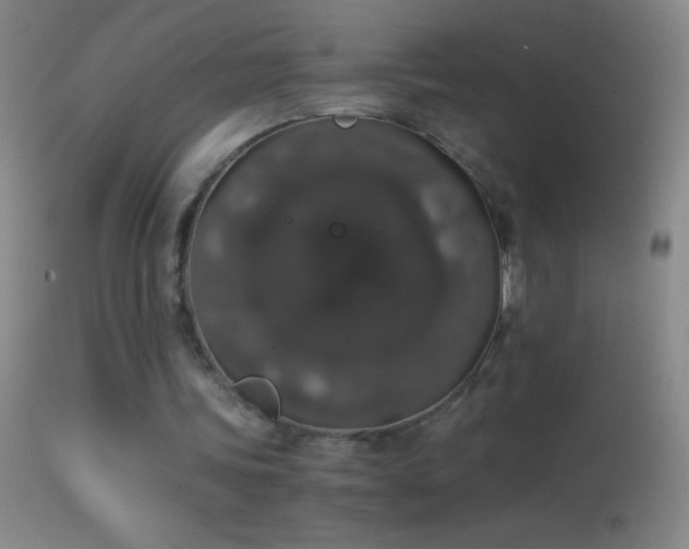 X0000114660339200910201535