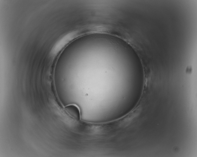 X0000114660341200910201535