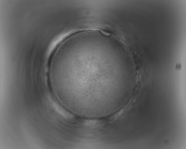 X0000114660342200910201535