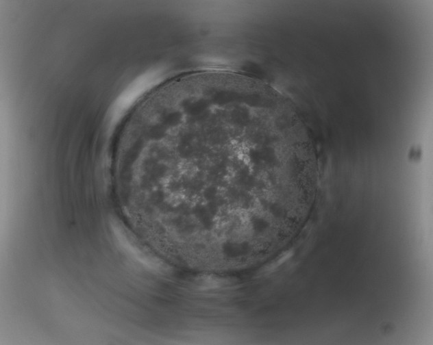 X0000114660343200910201535