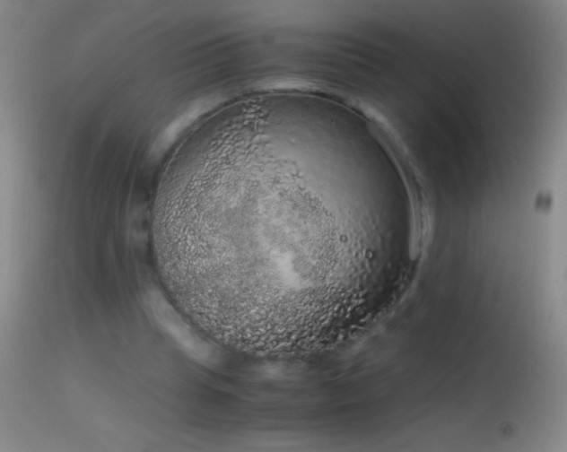 X0000114660345200910201535