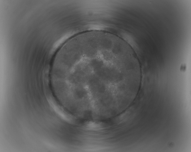 X0000114660346200910201535