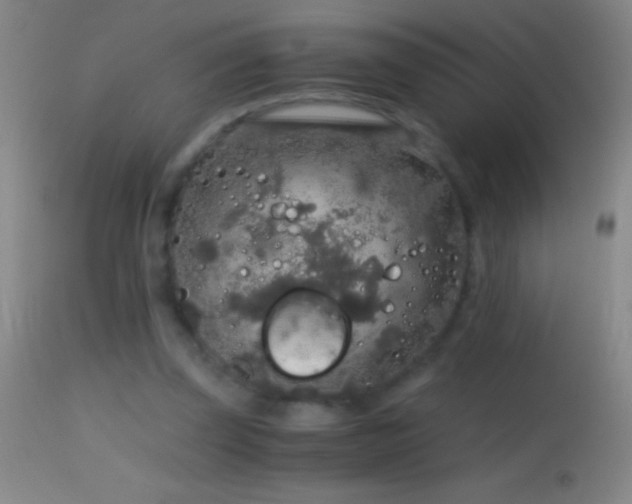 X0000114660347200910201535