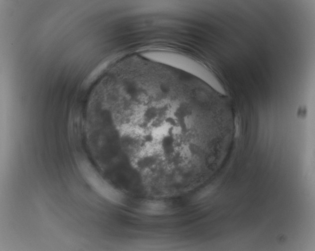 X0000114660349200910201536