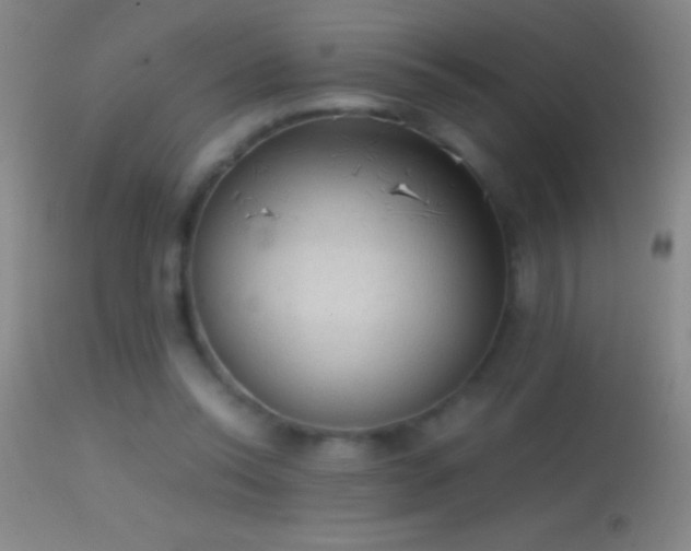 X0000114660350200910201536