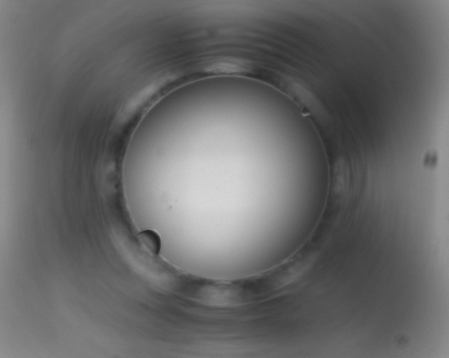 X0000114660351200910201536