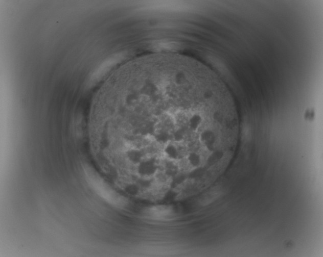 X0000114660353200910201536