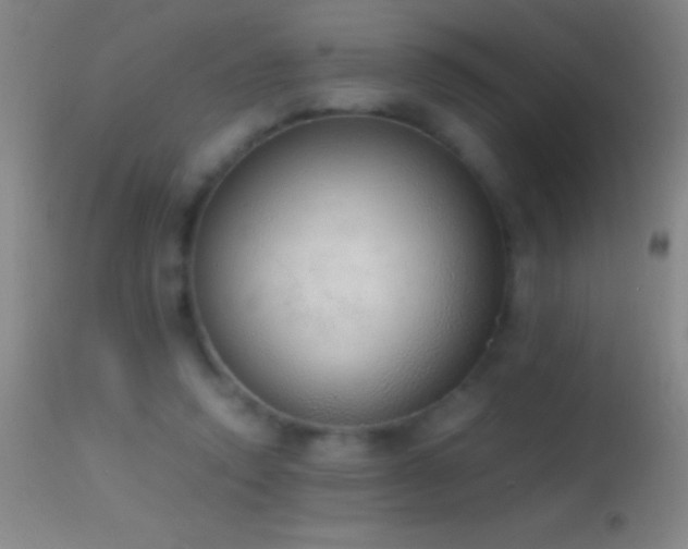 X0000114660354200910201536