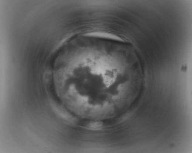 X0000114660355200910201536