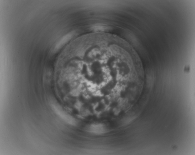 X0000114660357200910201536