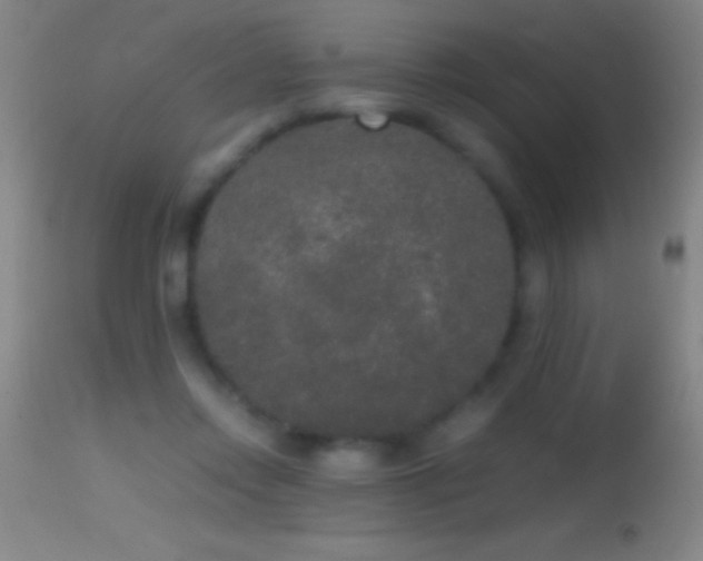 X0000114660358200910201536