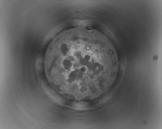 X0000114660359200910201536