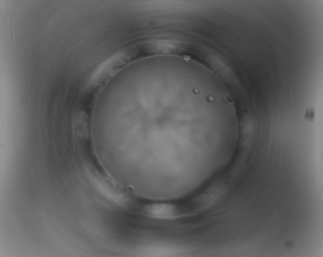 X0000114660361200910201536