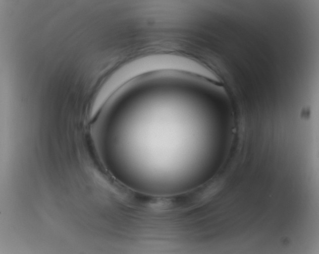 X0000114660362200910201536