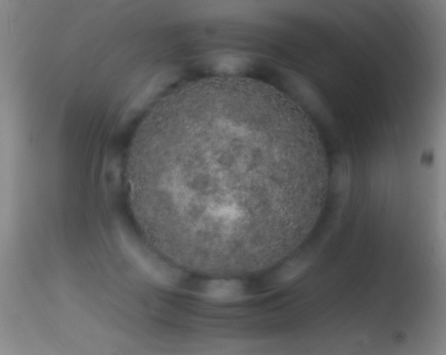 X0000114660363200910201536