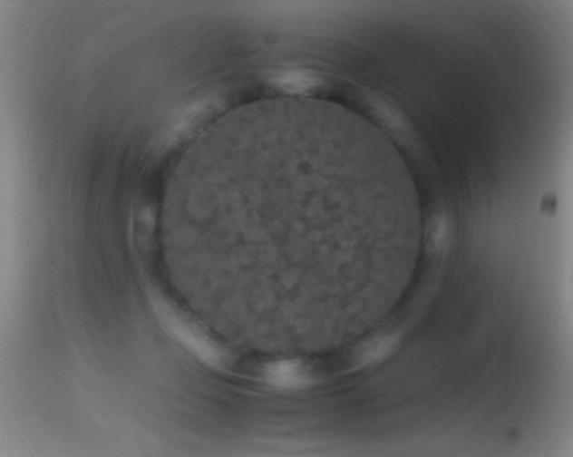 X0000114660365200910201536