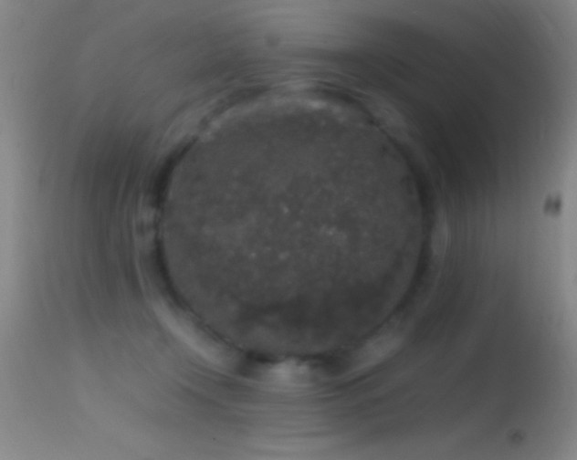 X0000114660366200910201536