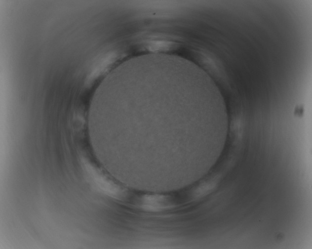 X0000114660367200910201536