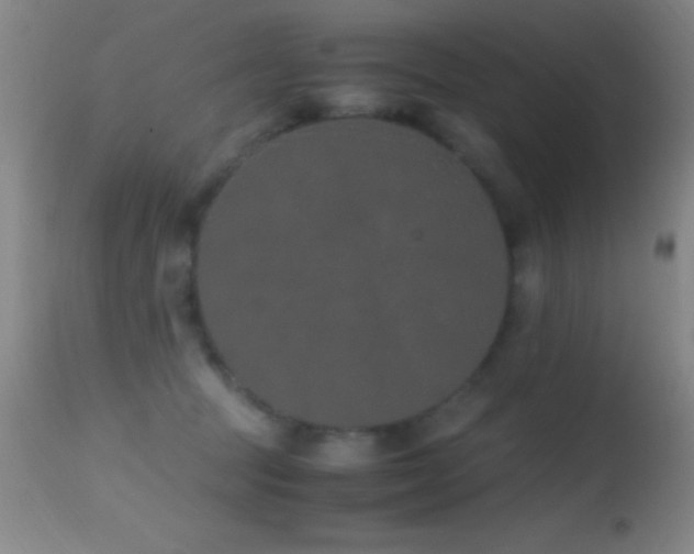 X0000114660369200910201536