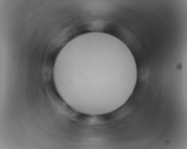 X0000114660370200910201536