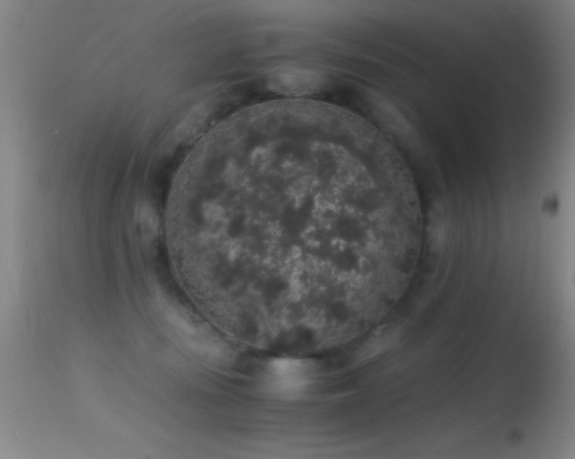 X0000114660371200910201536