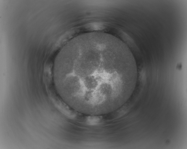 X0000114660373200910201536