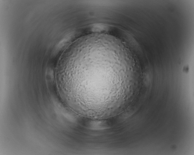 X0000114660375200910201536