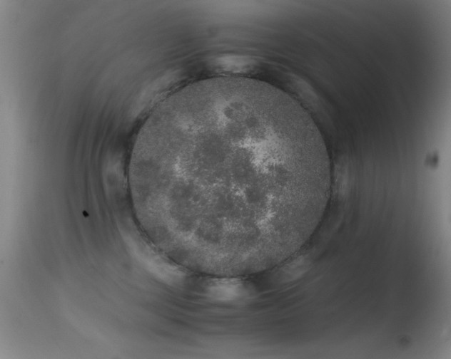 X0000114660377200910201536