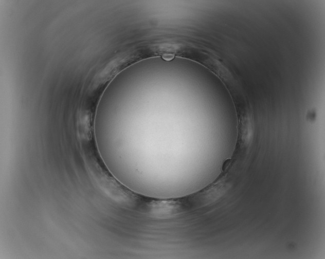 X0000114660378200910201536