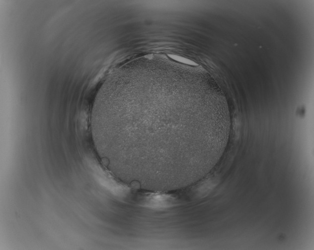 X0000114660379200910201536