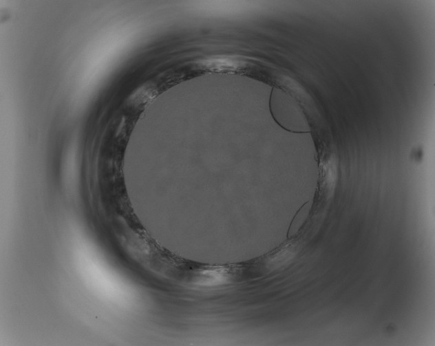 X0000114660381200910201536