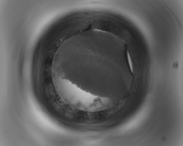 X0000114660383200910201536