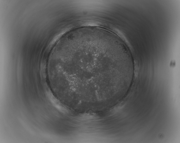 X0000114660386200910201535