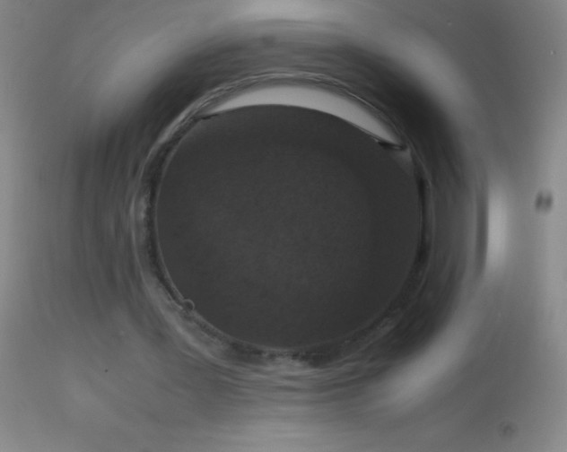 X0000114660387200910201535