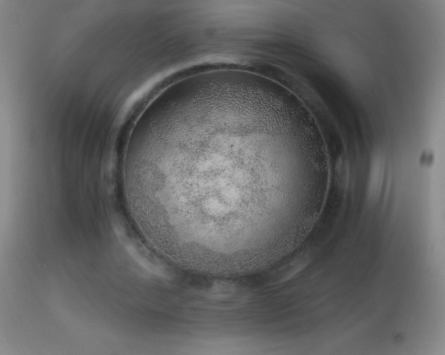 X0000114660388200910201535