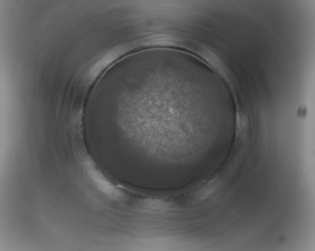 X0000114660389200910201535